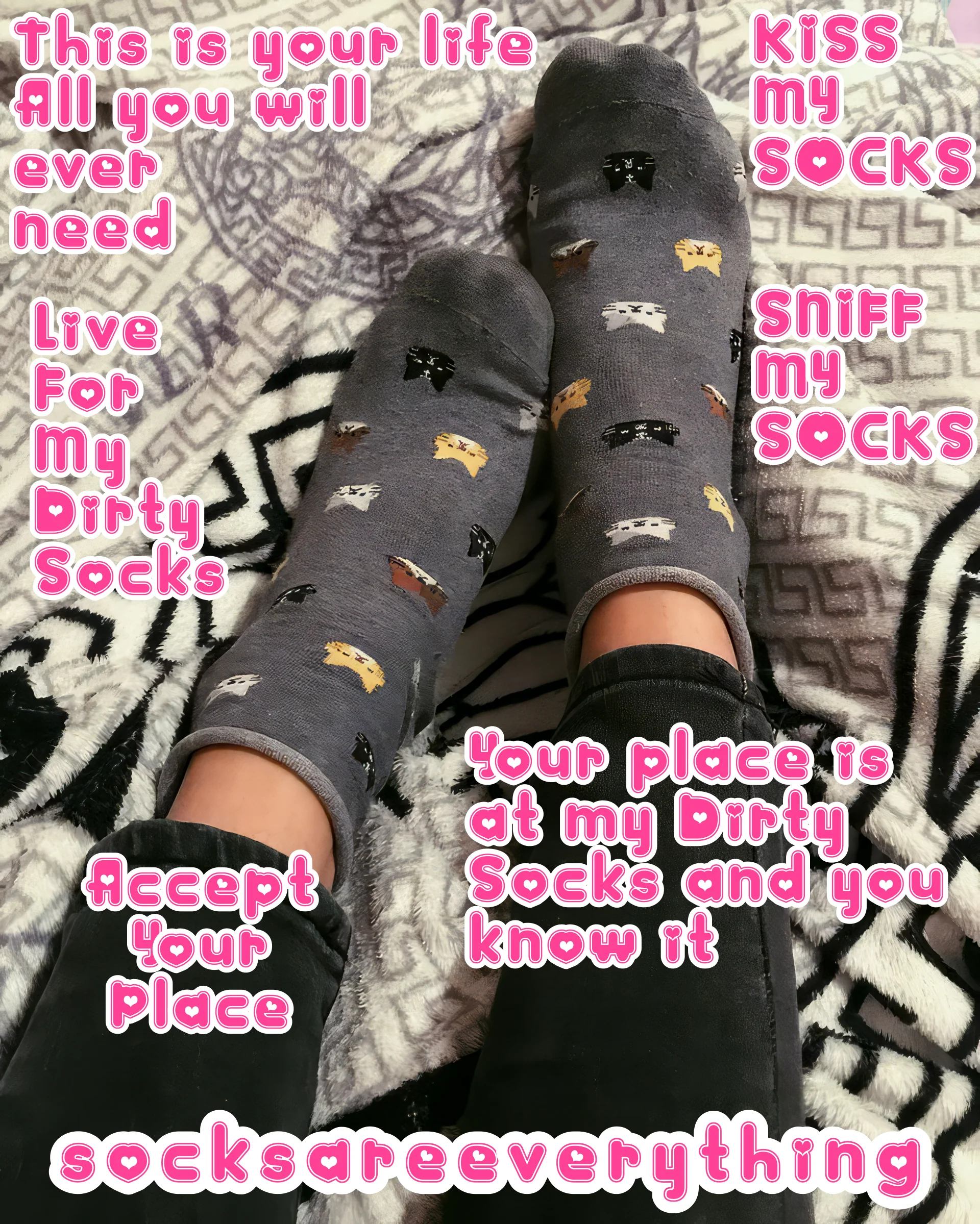 I want you to worship and admire my divine socks baby. Its your beta way. Its your beta life. Please pledge your whole life to my divine socks! SocksAreEverything2 on ImageFap picture 1 of 1