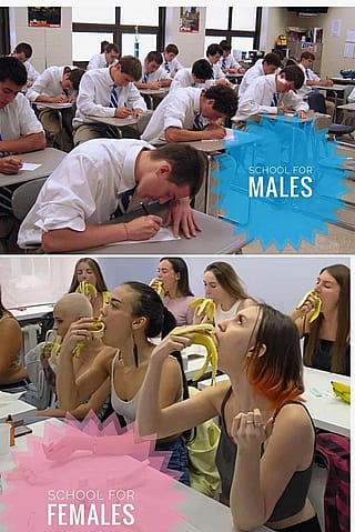 Dumb Sluts 101: Fuck School, Get Taught'