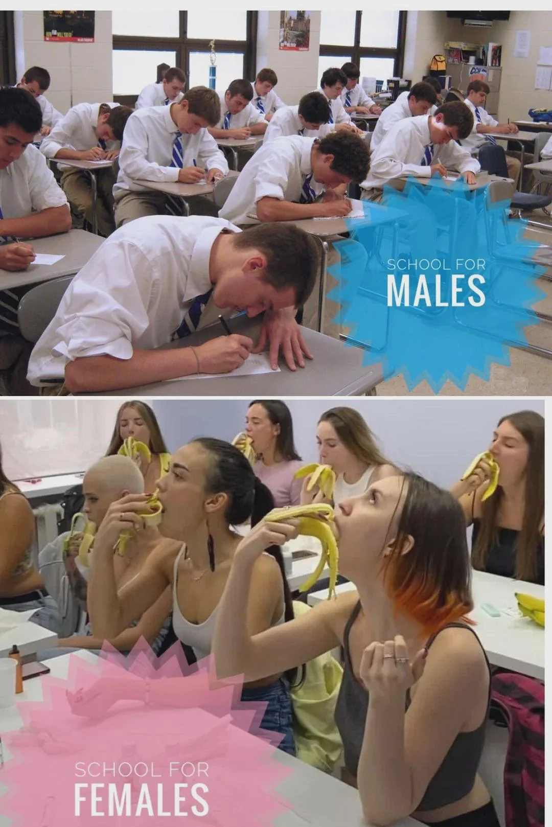 Dumb Sluts 101: Fuck School, Get Taught picture 1 of 1