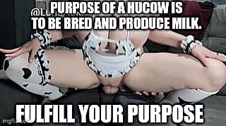 Fuck Factories Built for Breeding'