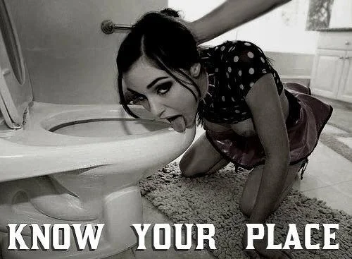 Your Place Is Just To Be Used - Submit To Your Role picture 1 of 3