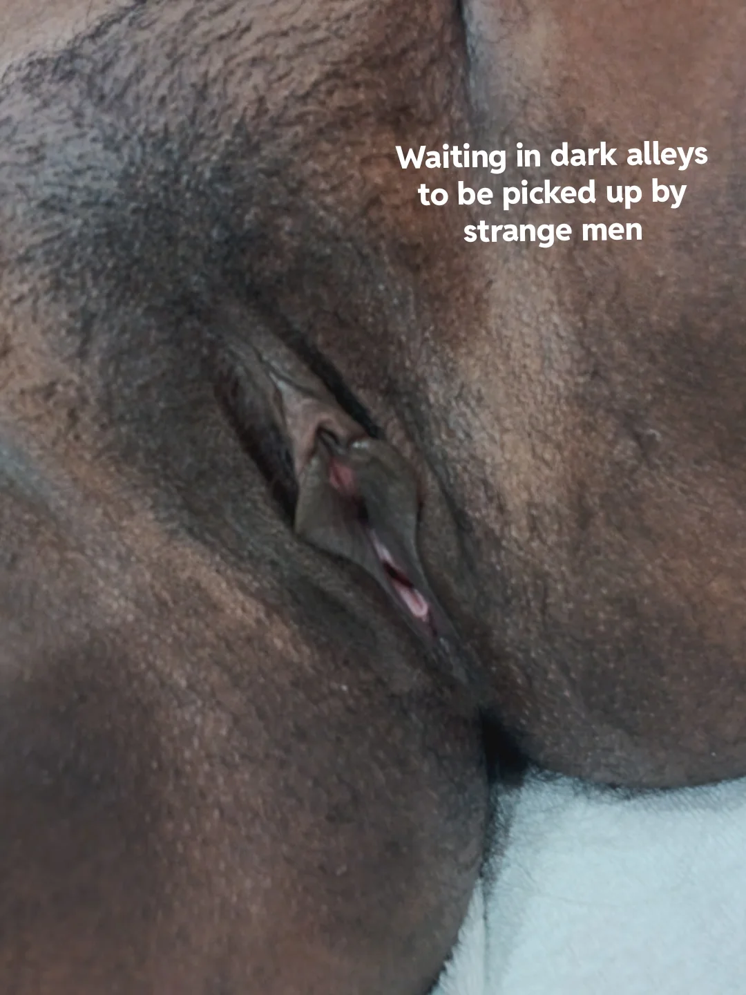 Beggin' for that sweet cream filling... picture 1 of 1