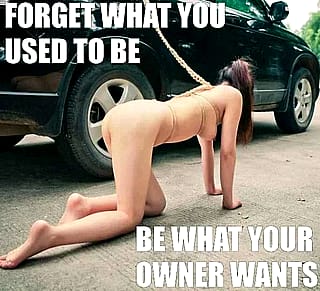 Born to serve: Your only purpose is pleasuring your master'