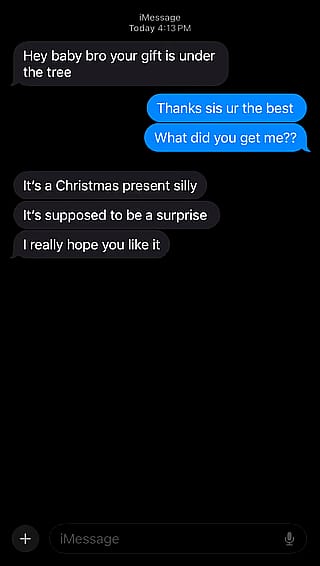Naughty Xmas Gift Swap with Sis'
