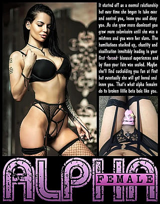 ALPHA FEMALE [chastity] [femdom] [sissy] TeasAndDenial on Imagefap'