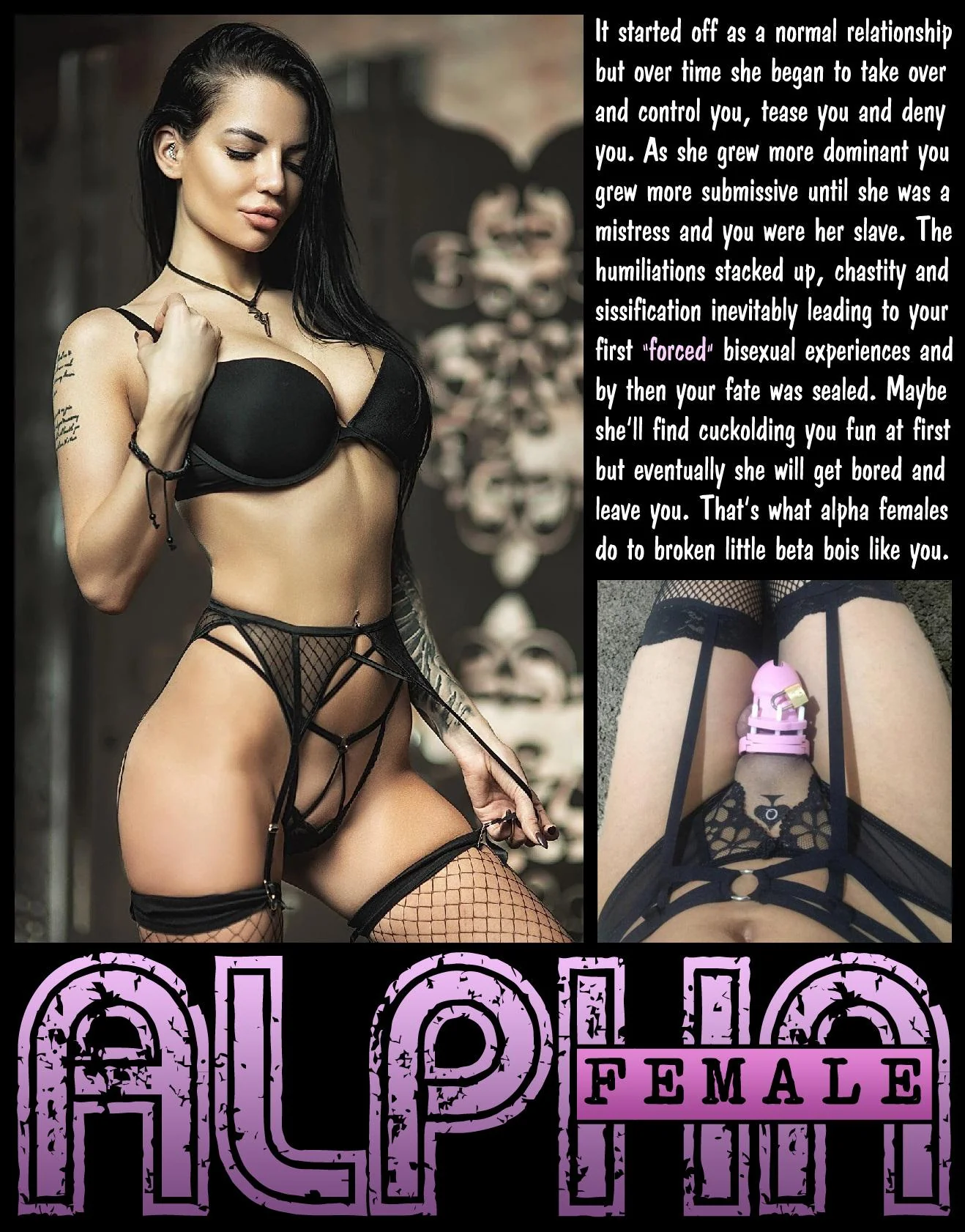 ALPHA FEMALE [chastity] [femdom] [sissy] TeasAndDenial on Imagefap picture 1 of 1