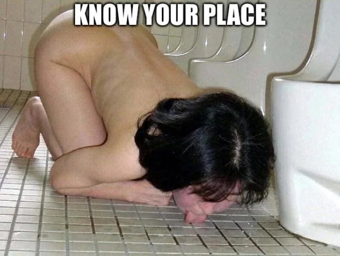 From Shy Pics to Full-Blown Online Slut: Your Descent into Digital Depravity picture 1 of 16