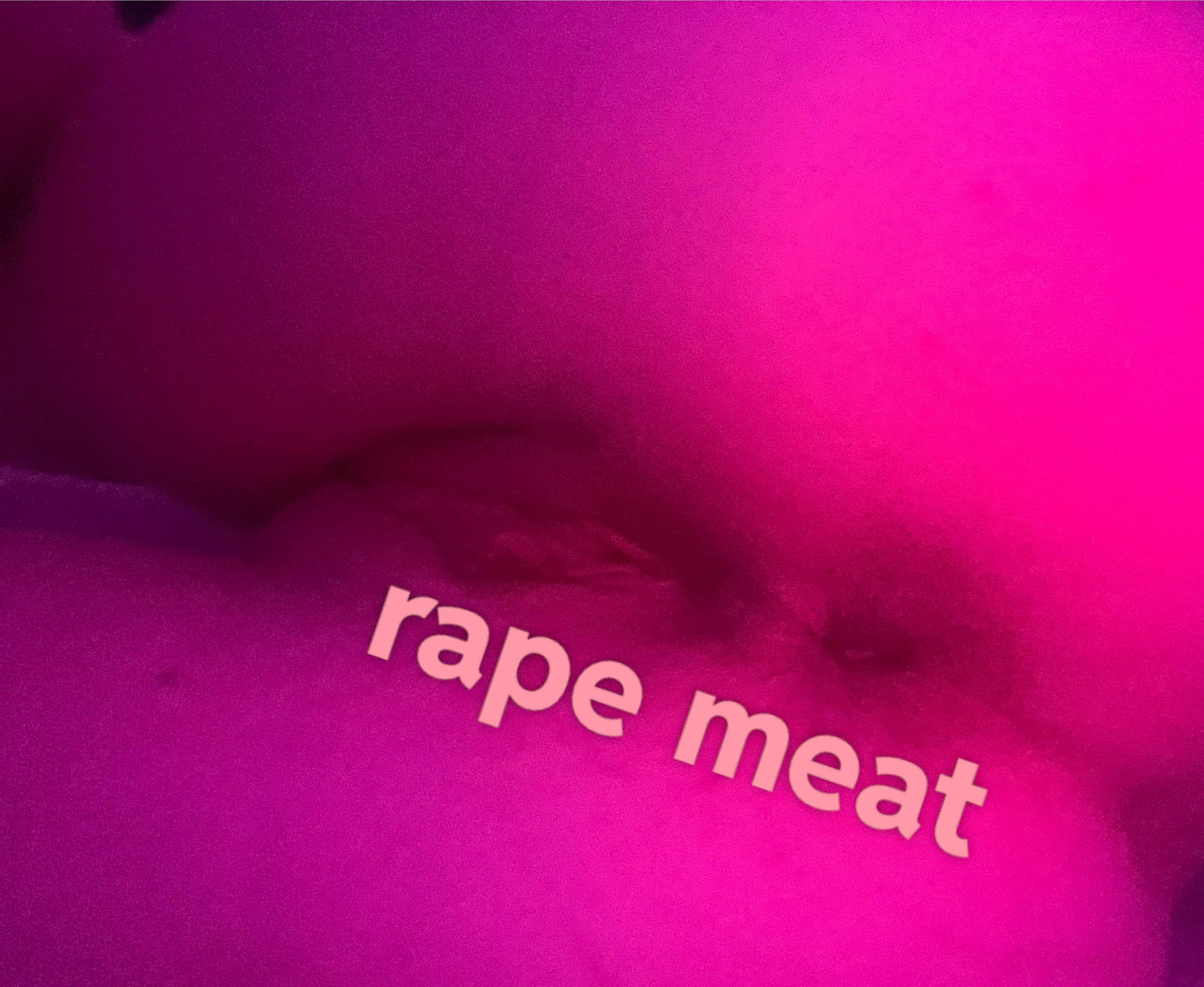 Born to Kneel: A Dumb Hole's Dream of Eternal Submission picture 1 of 1