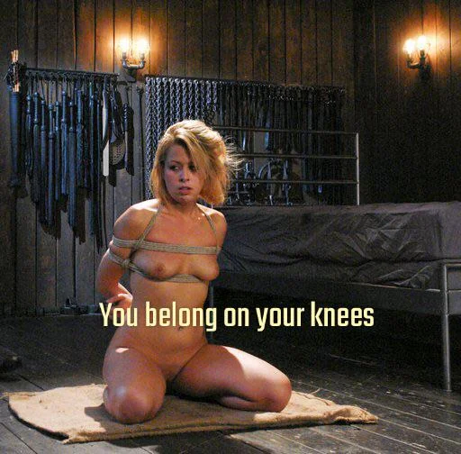 Begging for It on Your Knees picture 1 of 1