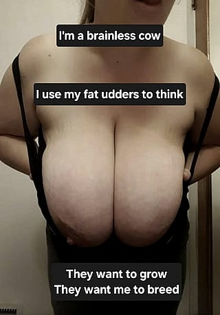 Milking My Assets'