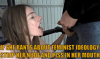 Dominating the Feminist Fantasy'