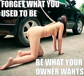 Claimed & Tamed'