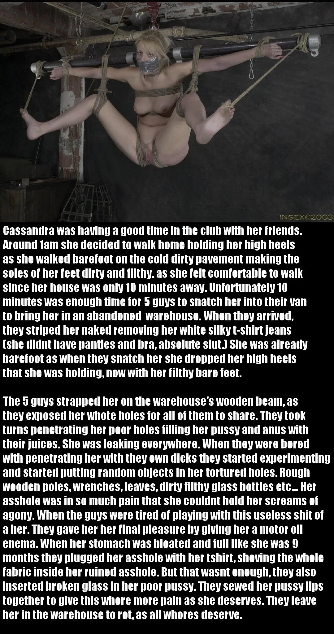 Torture me to entertain your friends picture 1 of 20