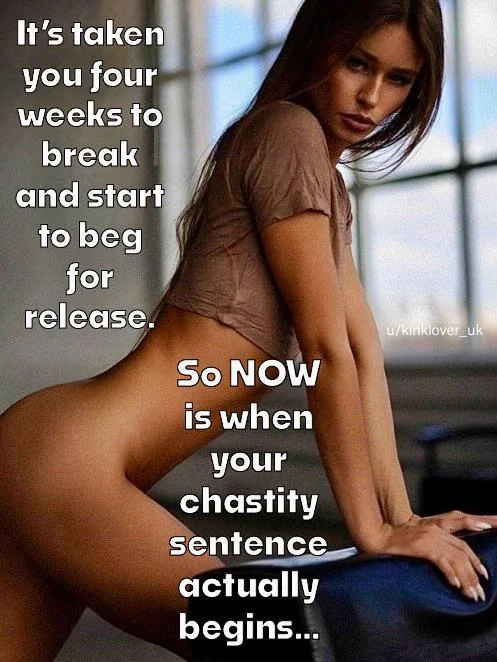 Locked Up & Loving It: The Ultimate Surrender picture 1 of 1