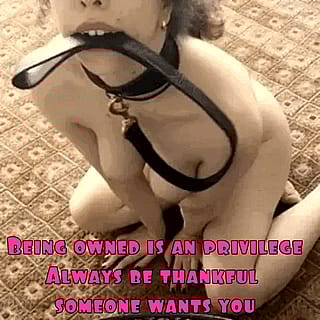 Beg to Be Dominated: Your Ultimate Submission Awaits'