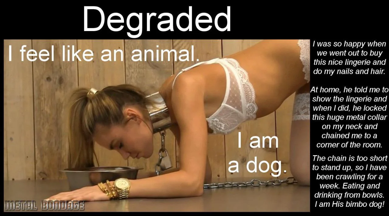 Pussy Pets Begging for Dominance picture 1 of 1