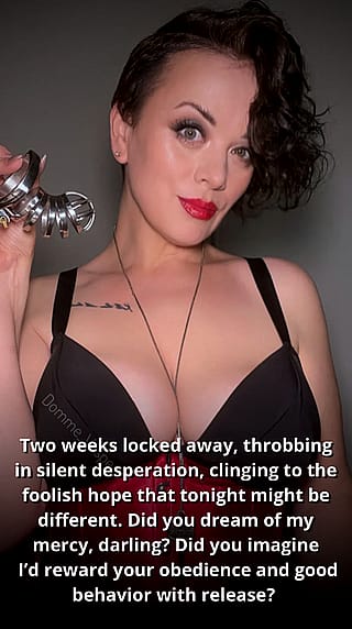 Locked & Loaded: Two Weeks of Naughty Anticipation'