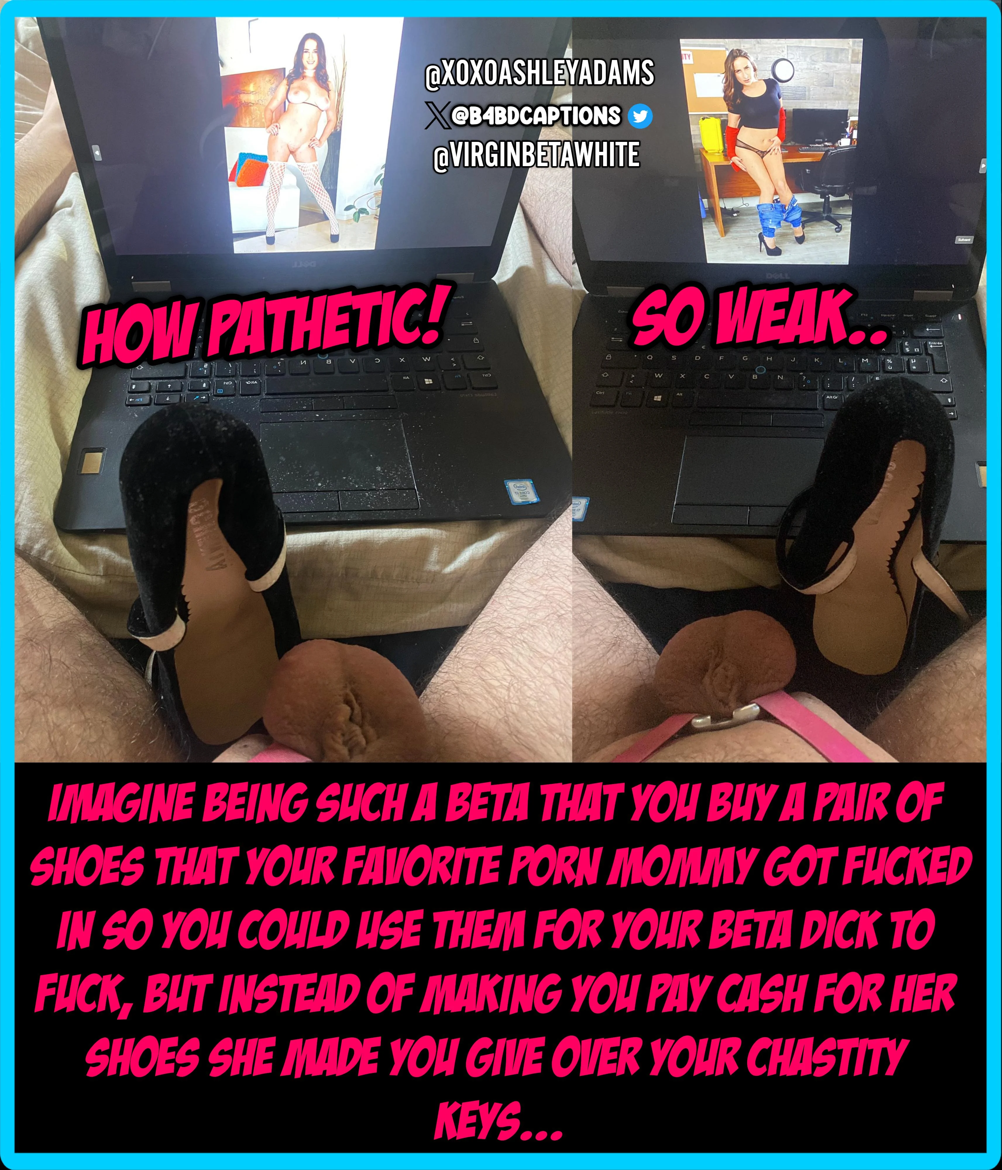 Dreaming of Being a Pathetic Beta? Here's Your Reality Check picture 1 of 1