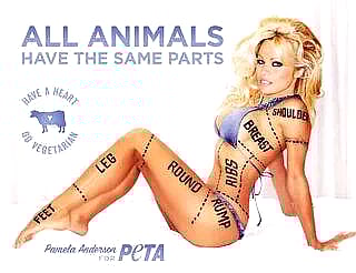 Total Degradation of a Worthless Slut'