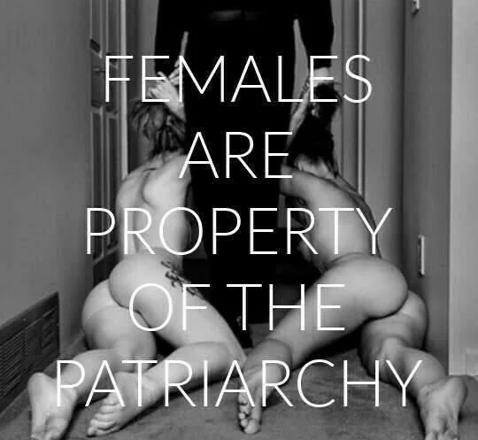 Patriarchy's Plaything: Submit and Serve picture 1 of 1