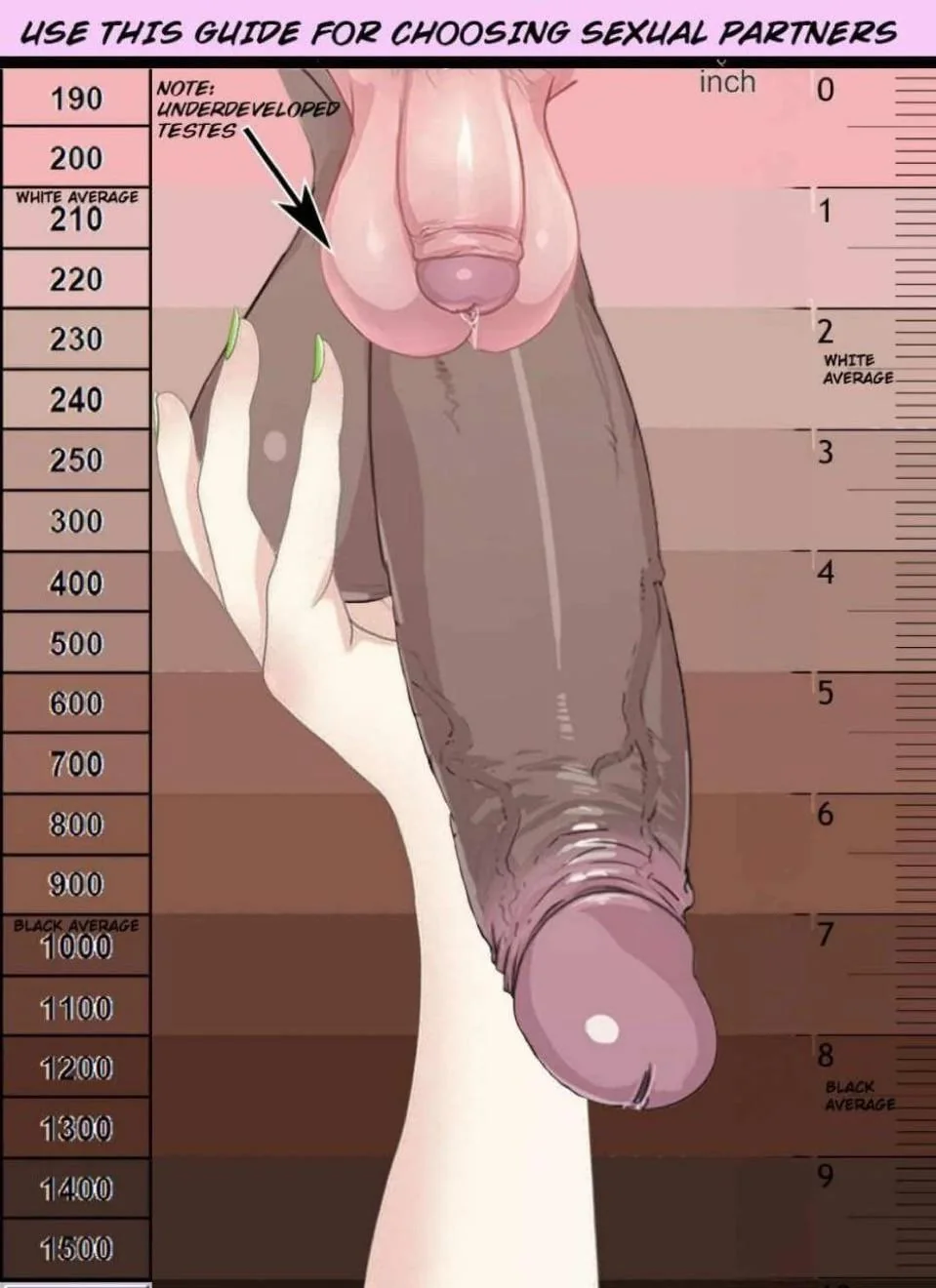 Size Matters: A Filthy Guide for Fresh White Chicks to Compare Good White Dicks and Massive Black Cocks picture 1 of 1
