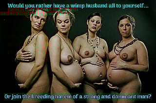 Knocked-Up and Kinky: Ready for Round Two'