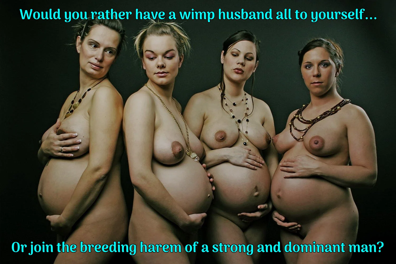 Knocked-Up and Kinky: Ready for Round Two picture 1 of 1