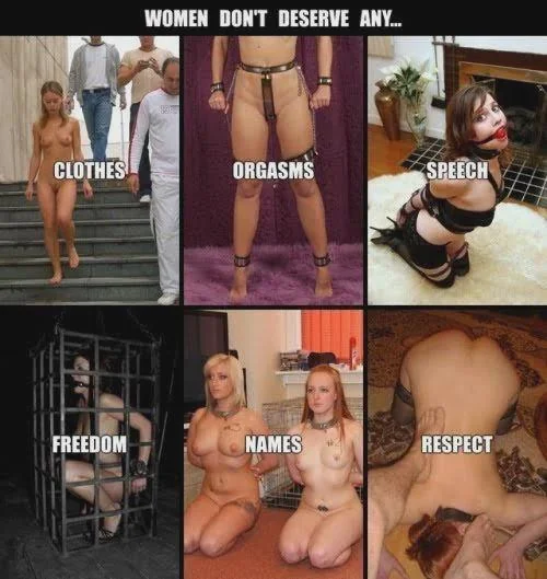 Breeding Material Made for Our Pleasure picture 1 of 1