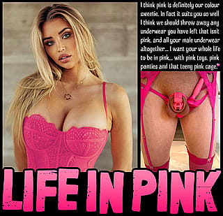 LIFE IN PINK [chastity] [femdom] [sissy] TeasAndDenial on Imagefap'