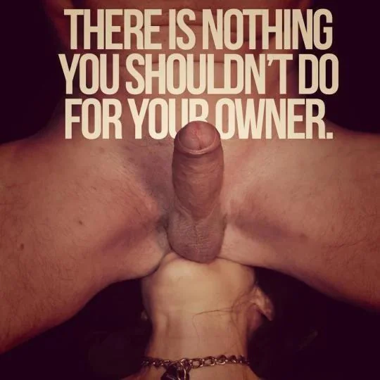 You ache to be an ass eating, piss drinking obedient filthy girl, don't you? Say, "Please, I do Daddy/Sir" picture 2 of 3