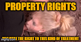 Property Rights'