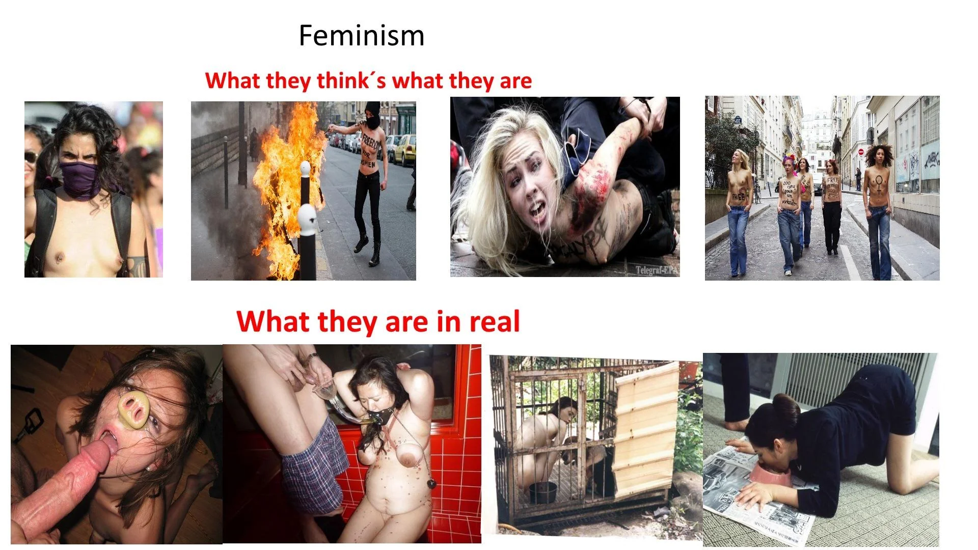 be a proud anti-feminist picture 1 of 1