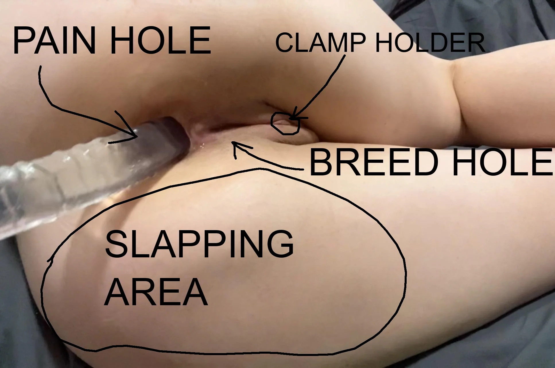 Whore anatomy: picture 1 of 1