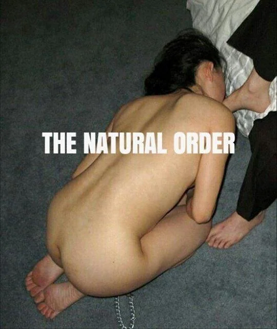 No one should challenge the natural order picture 1 of 1