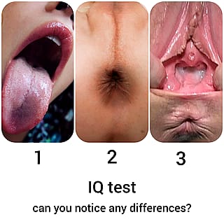 IQ test'