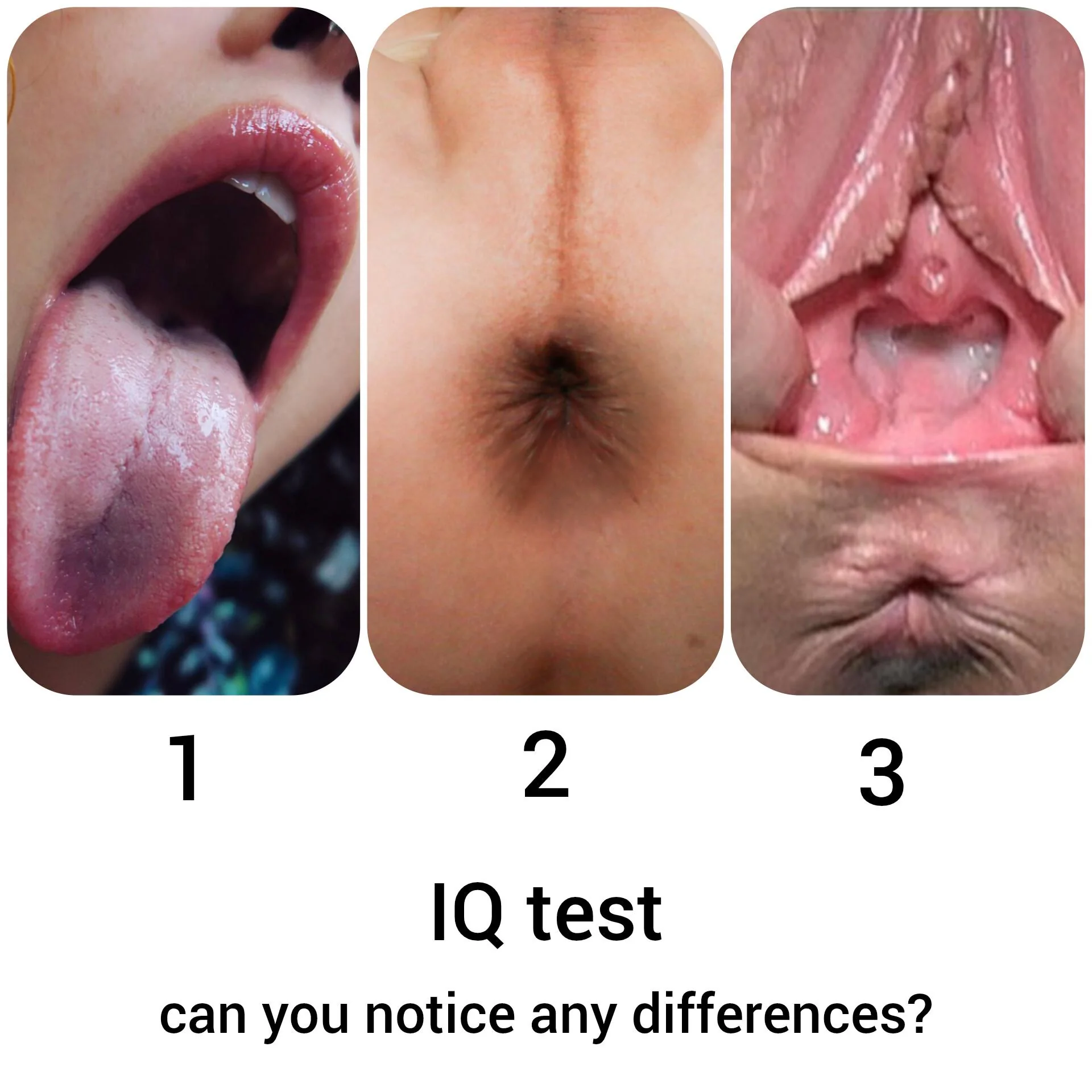 IQ test picture 1 of 1