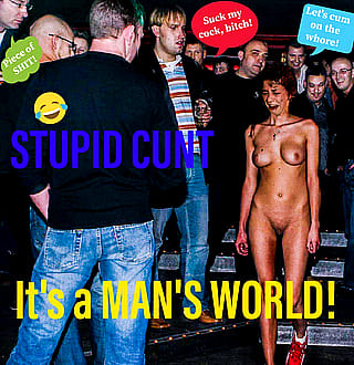 Stupid feminists after patriarchy is established'