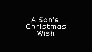 Considering my son's Christmas wish'