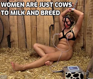 Women are nothing but cattle'