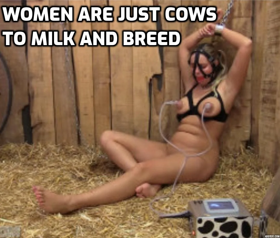 Women are nothing but cattle picture 1 of 1