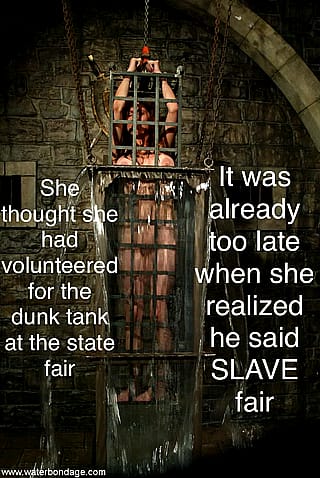 Dunk Tank at the Slave Fair'