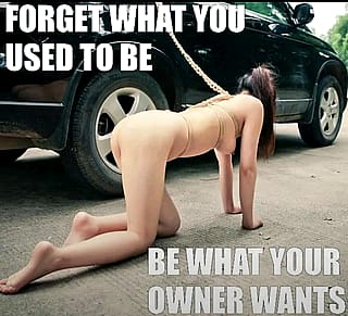 Freedom is over rated. Beta women should only receive pleasure through pain and humiliation'